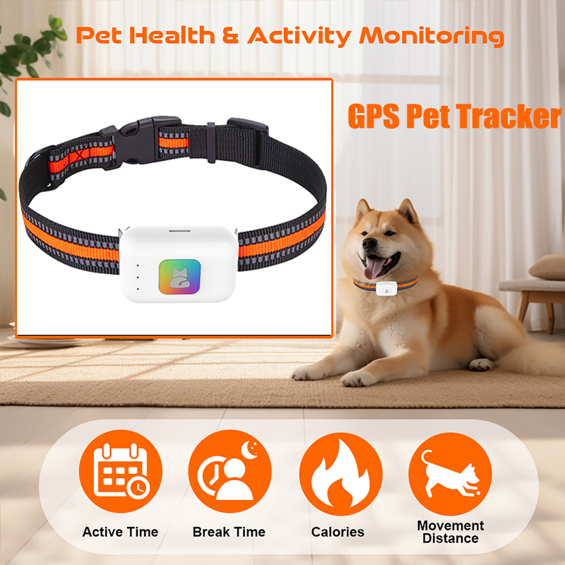 Pet GPS AGPS Tracking Device 4 - огляд і ціна Pet Supplies Direct
