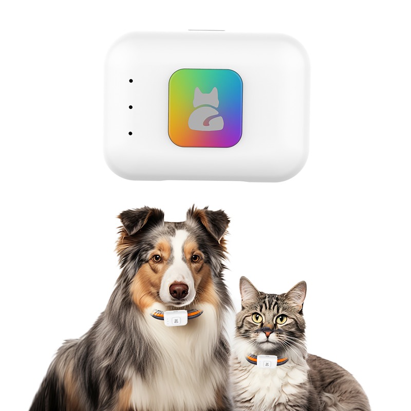 Pet GPS AGPS Tracking Device 4 - огляд і ціна Pet Supplies Direct