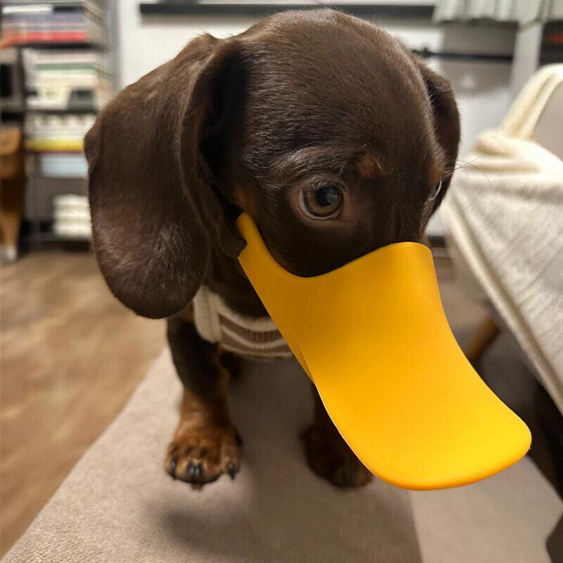 Dog Silicone Duck Muzzle For W - огляд і ціна Dog Muzzle Silicone