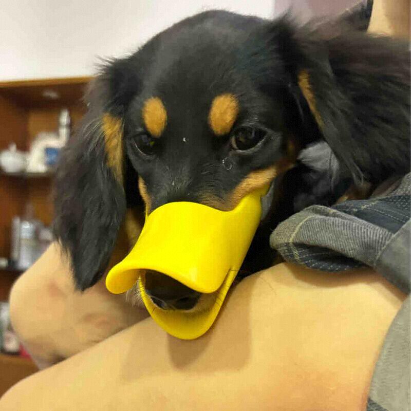 Dog Silicone Duck Muzzle For W - огляд і ціна Dog Muzzle Silicone