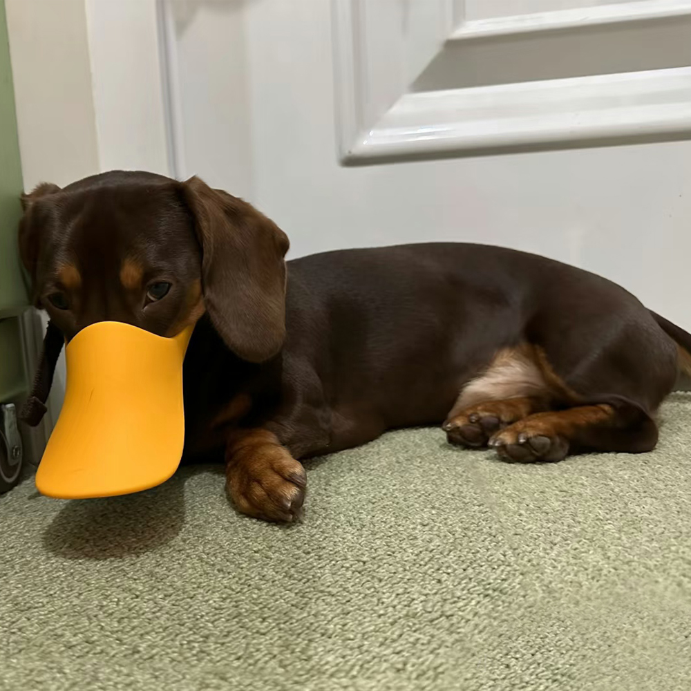 Dog Silicone Duck Muzzle For W - огляд і ціна Dog Muzzle Silicone