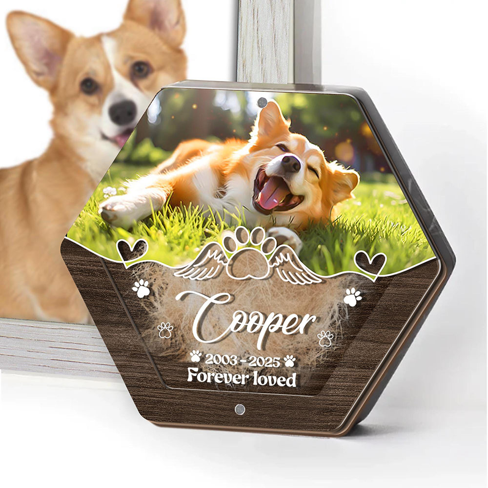Personalized Name Wooden Carvi - огляд і ціна Pet Supplies Direct