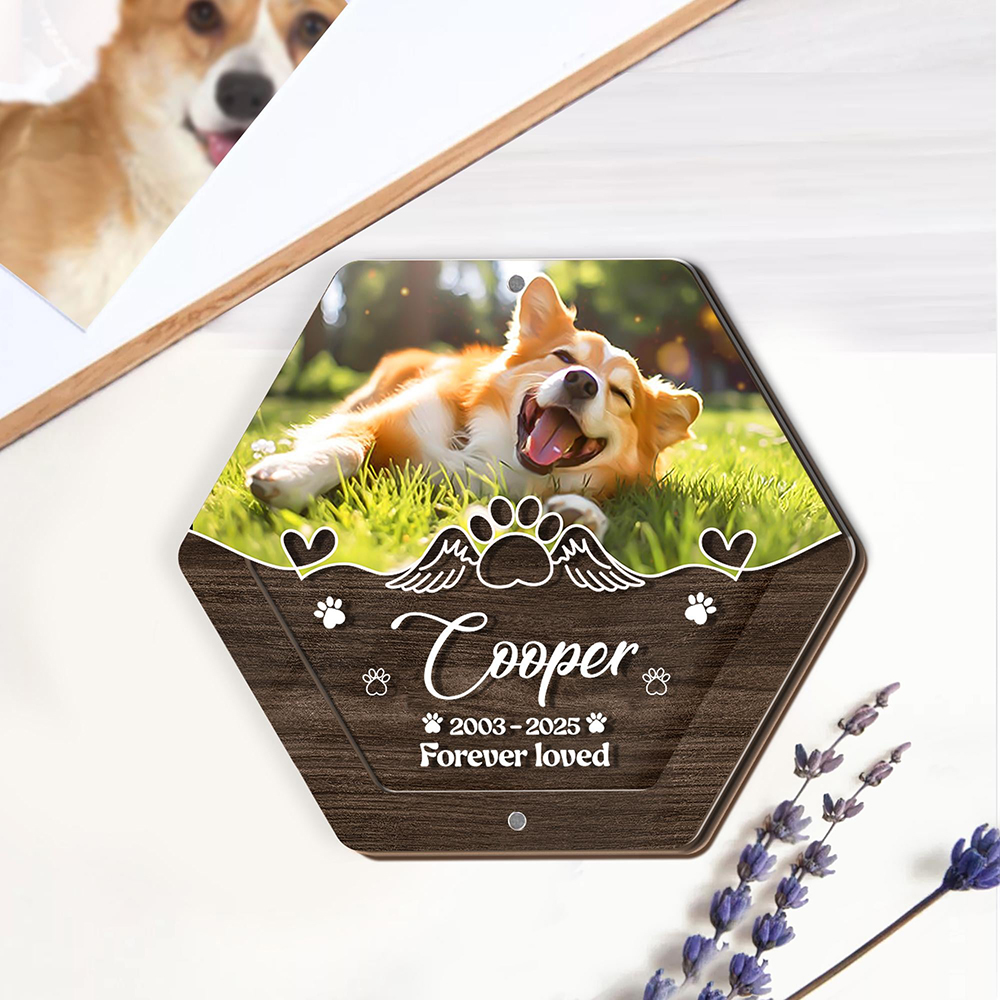 Personalized Name Wooden Carvi - огляд і ціна Pet Supplies Direct