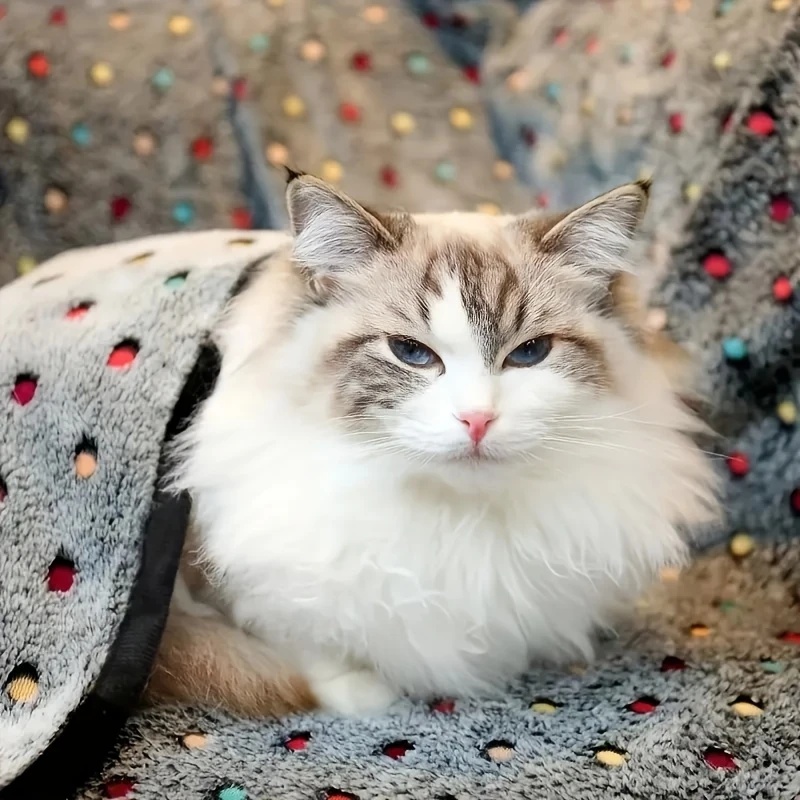 3PCS Soft Fluffy Pet Blanket C - огляд і ціна Pet Supplies Direct