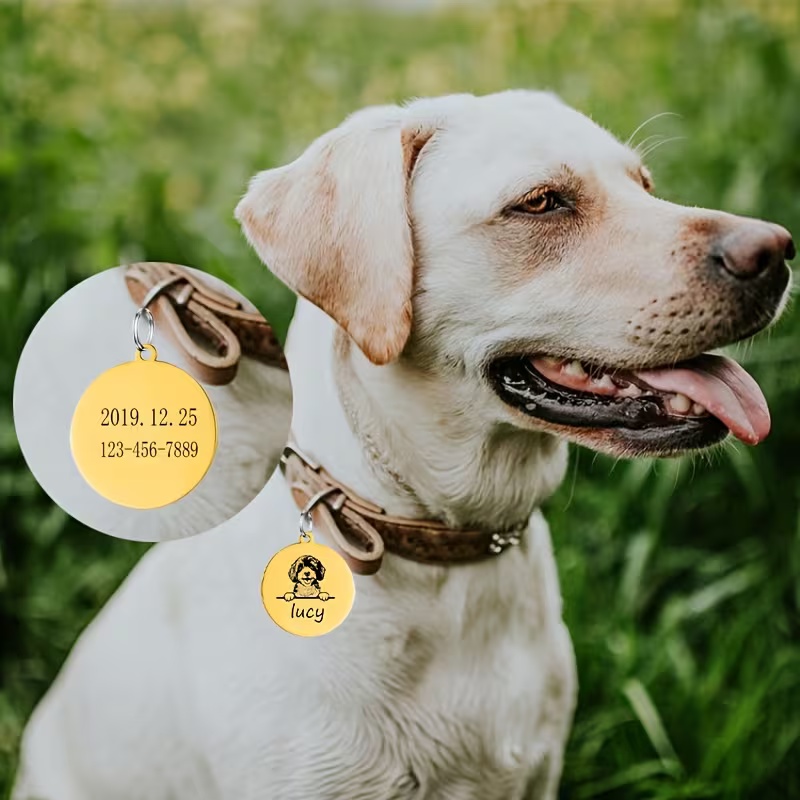Custom Pet Name Puppy Anti-los - огляд і ціна Pet Supplies Direct