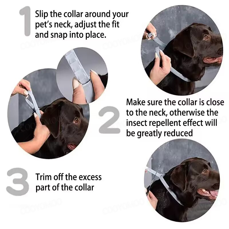 Dog Collars Puppy Dog Cats 72c - огляд і ціна Dog Muzzle Silicone